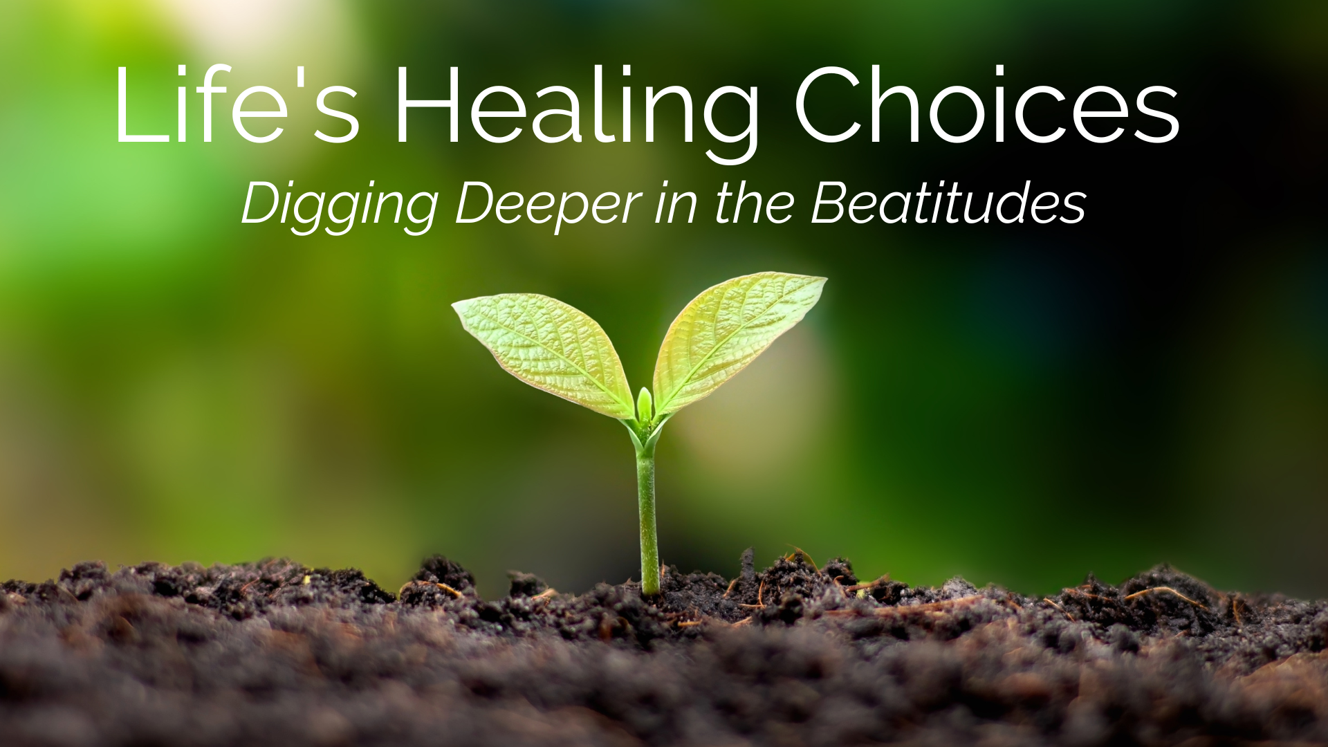 Life's Healing Choices